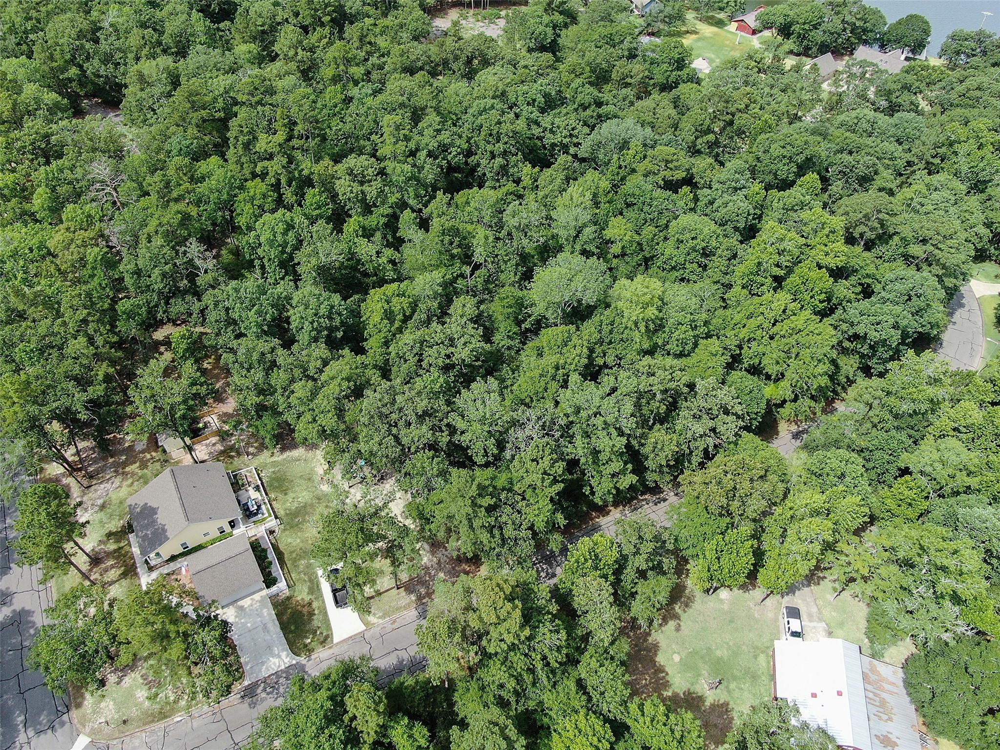 0 St Andrews Point Blank, TX 77364 - Photo 11 of 12 an aerial view of a house with a yard