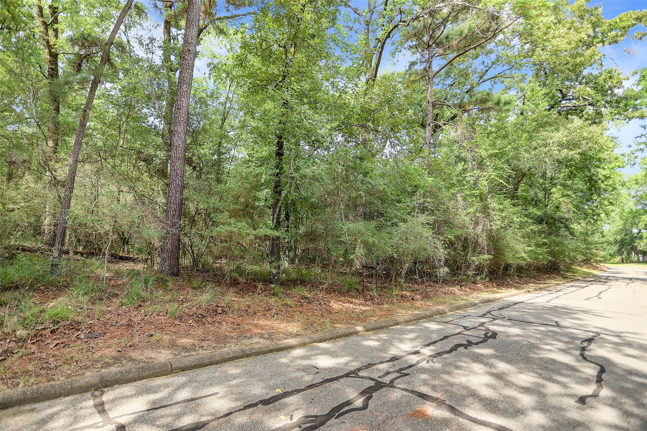 0 St Andrews Point Blank, TX 77364 - Photo 3 of 12 a view of outdoor space and trees