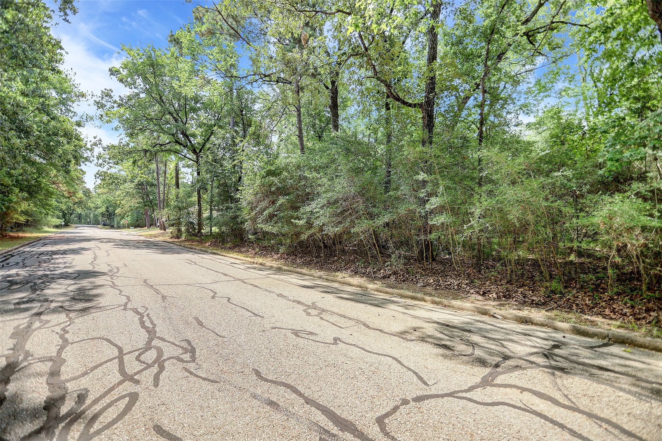 0 St Andrews Point Blank, TX 77364 - Photo 4 of 12 a view of backyard with green space