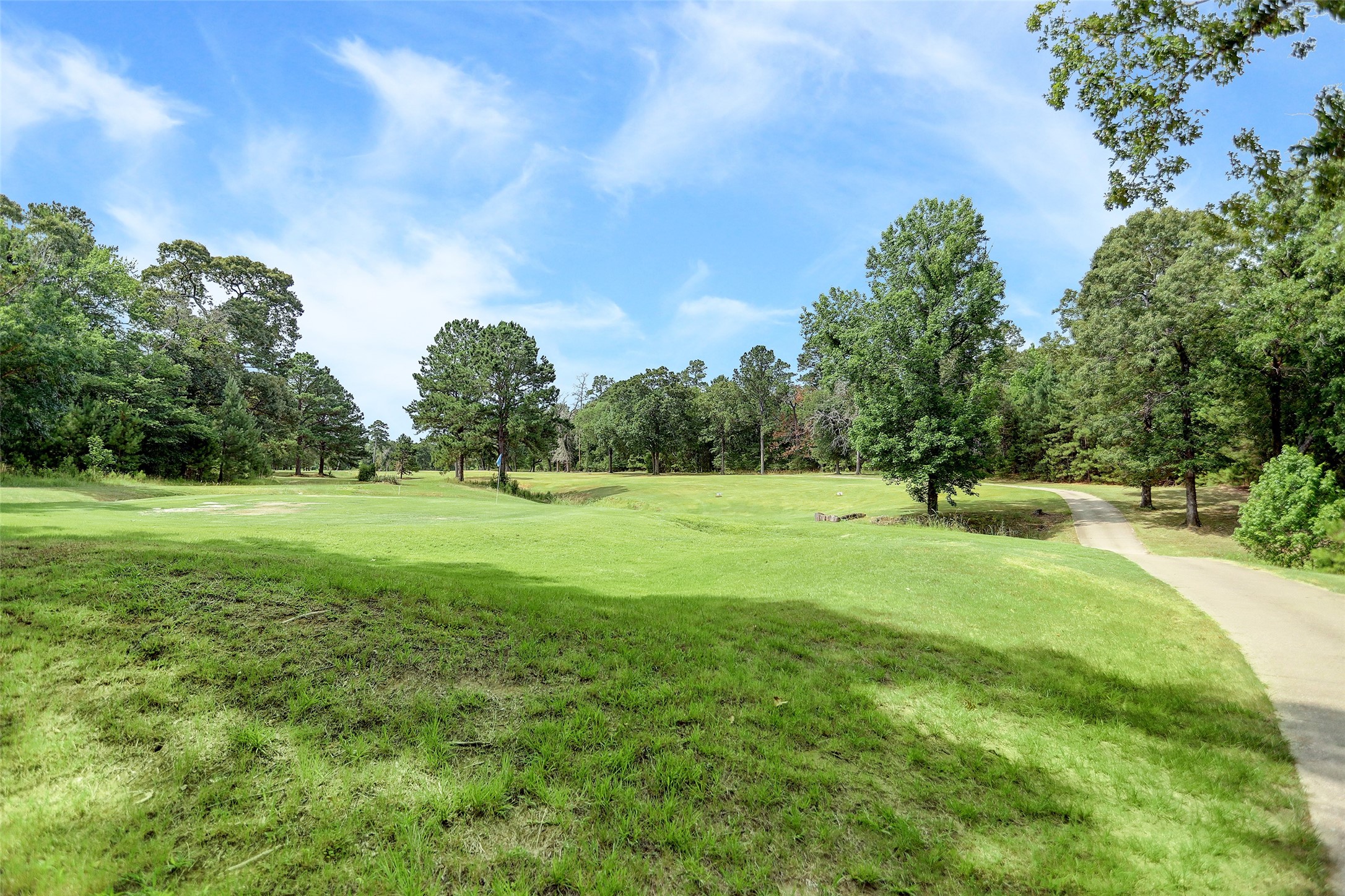 0 St Andrews Point Blank, TX 77364 - Photo 5 of 12 a view of a garden
