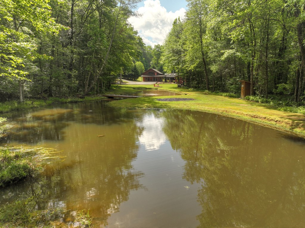 241 Dunn Mill Creek Road Blue Ridge, GA 30513 - Photo 84 of 97