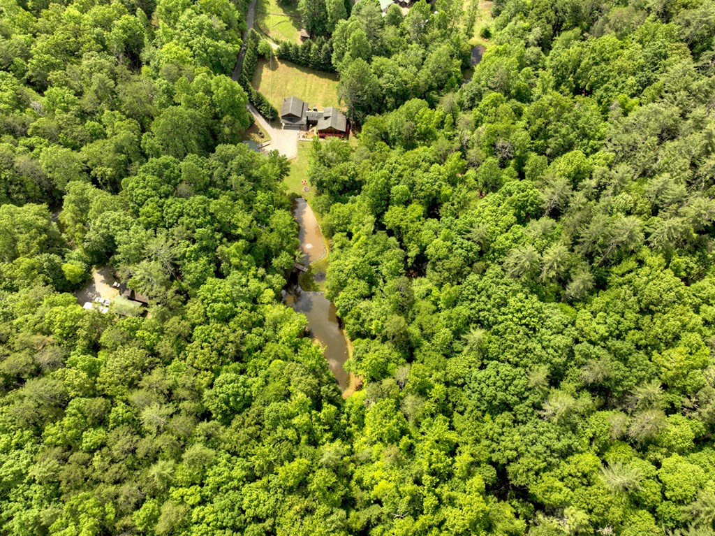 241 Dunn Mill Creek Road Blue Ridge, GA 30513 - Photo 88 of 97