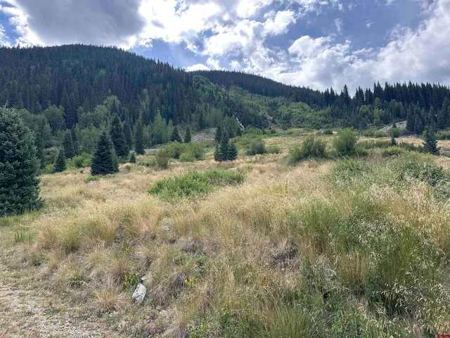 a view of a forest with a mountain in the background
