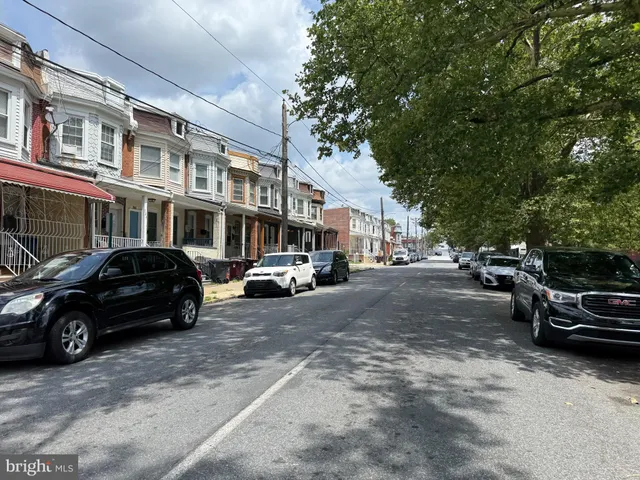 a view of field with tall trees