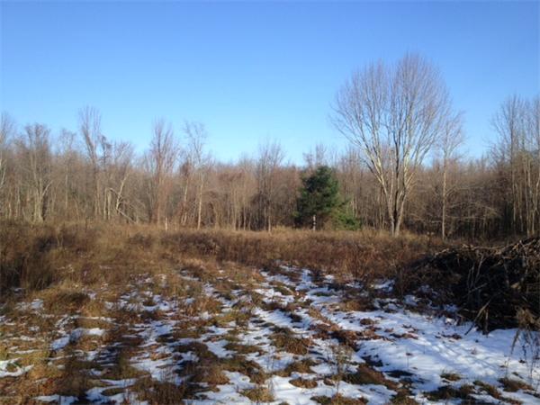 43 Lyons Road Dudley, MA 01571 - Photo 1 of 3 Gallery Image 1