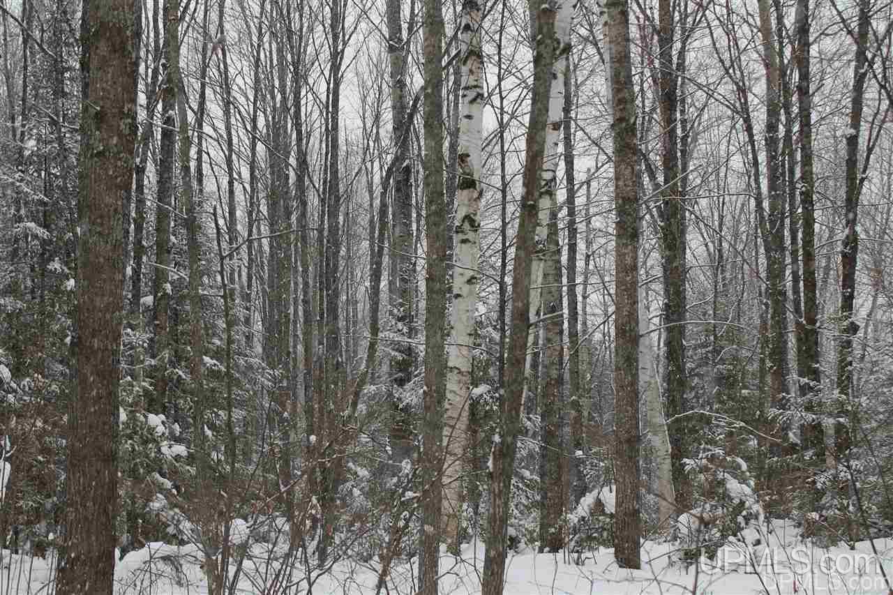 Tbd Off Fr 5252 - (the Interior Road Watersmeet, MI 49969 - Photo 15 of 27 Gallery Image 15