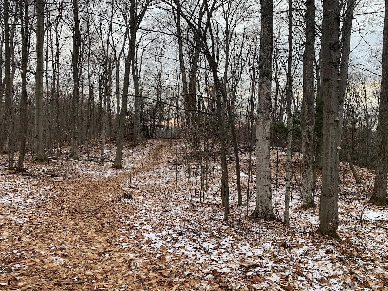 0 South Lime Lake Road, Unit LOT: B Cedar, MI 49621 - Photo 48 of 77 Gallery Image 48