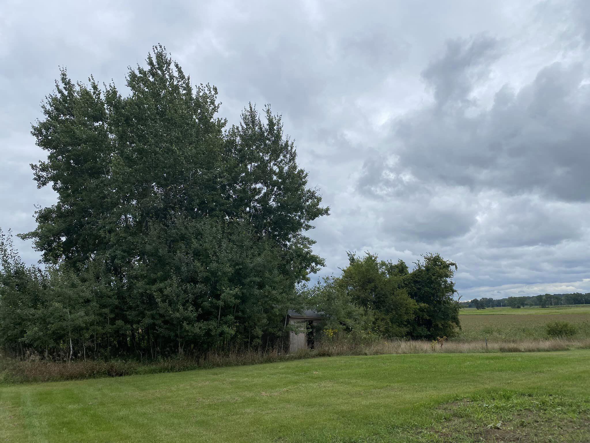 20776 23 Mile Road Olivet, MI 49076 - Photo 9 of 27 ENGLAND10