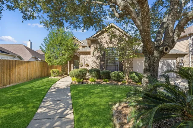 a view of a yard with plants and trees