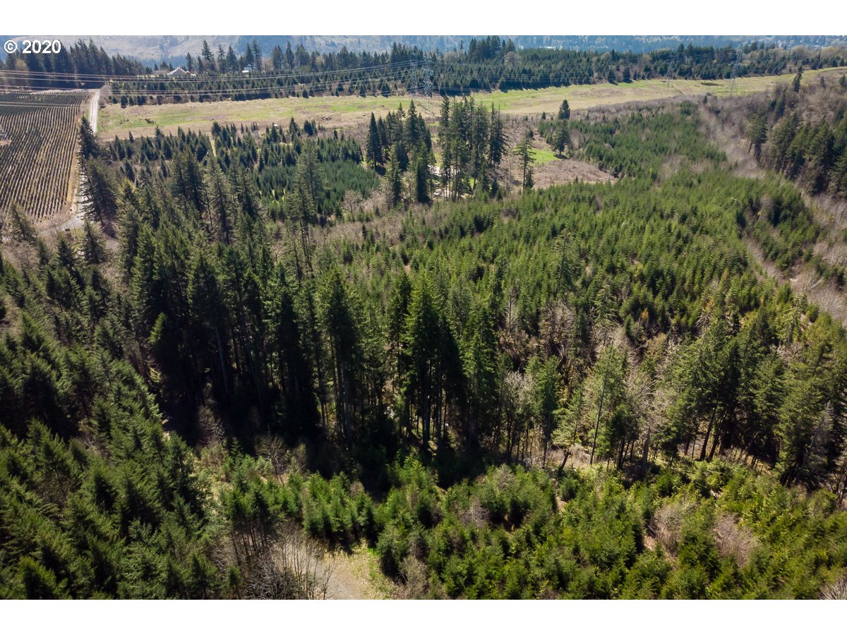 10009 Wagner Road Lyons, OR 97358 - Photo 25 of 32 Gallery Image 25