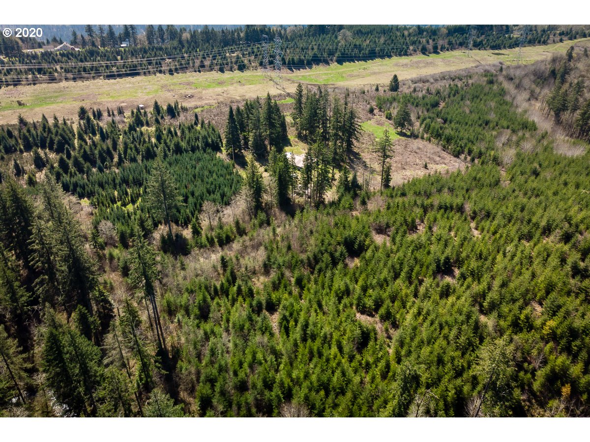 10009 Wagner Road Lyons, OR 97358 - Photo 26 of 32 Gallery Image 26