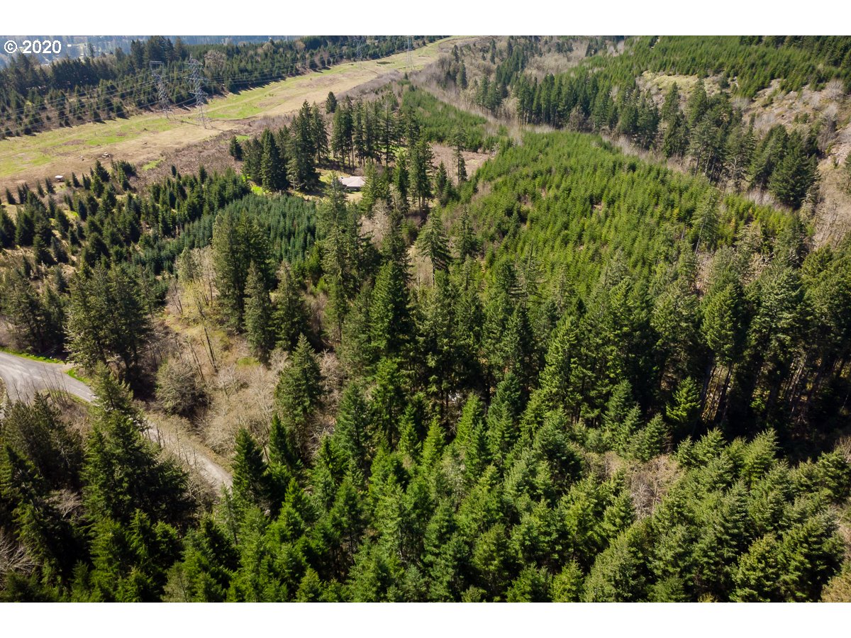 10009 Wagner Road Lyons, OR 97358 - Photo 27 of 32 Gallery Image 27