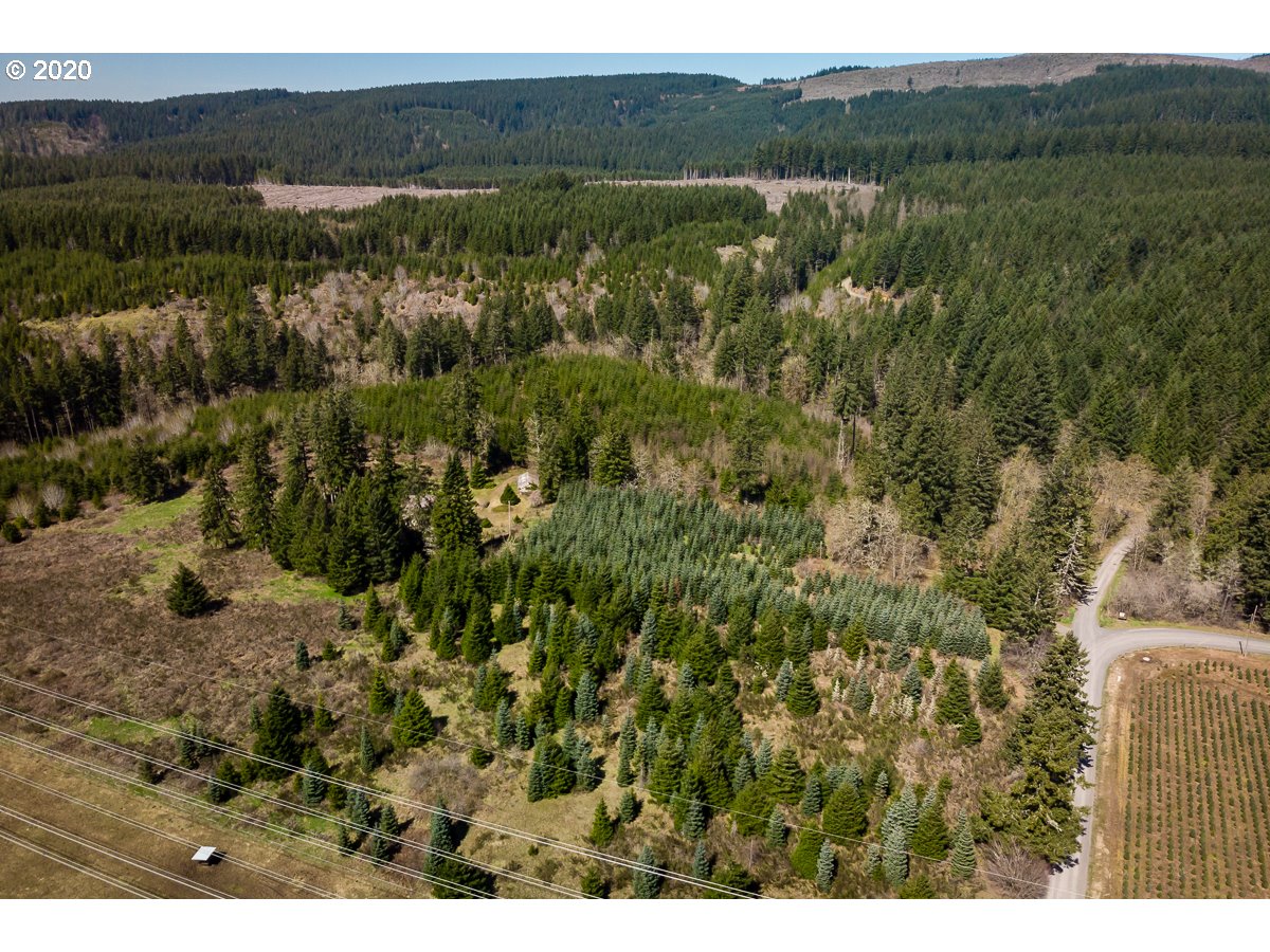 10009 Wagner Road Lyons, OR 97358 - Photo 29 of 32 Gallery Image 29