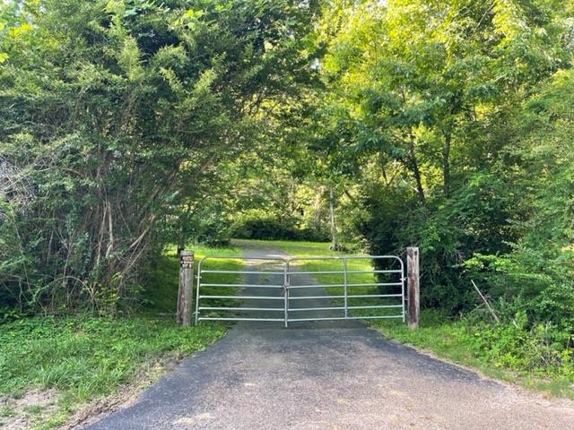 275 Pine Top Road Toone, TN 38381 - Photo 2 of 10 a view of a park