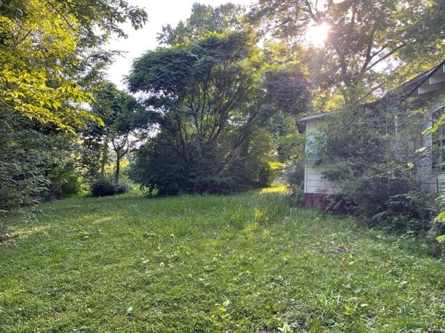 275 Pine Top Road Toone, TN 38381 - Photo 7 of 10 a backyard of a house with lots of green space and garden