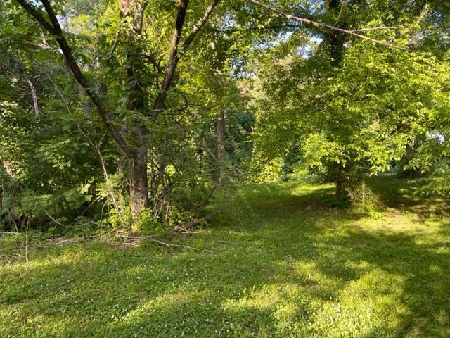 275 Pine Top Road Toone, TN 38381 - Photo 8 of 10 a view of a trees in a yard