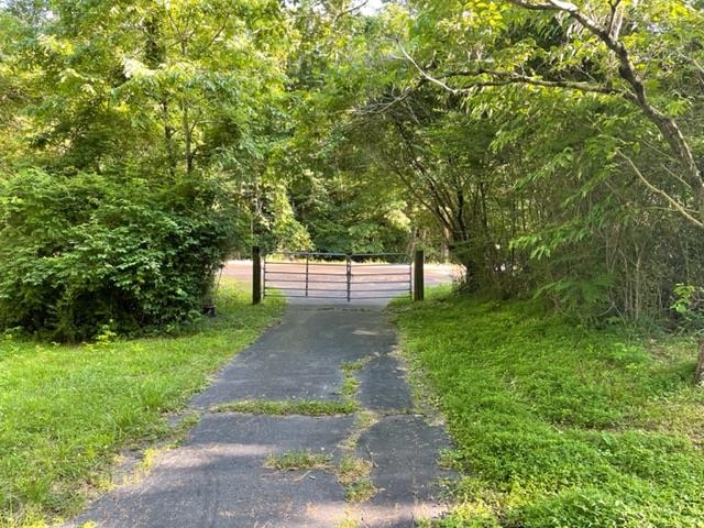 275 Pine Top Road Toone, TN 38381 - Photo 9 of 10 a view of park with trees