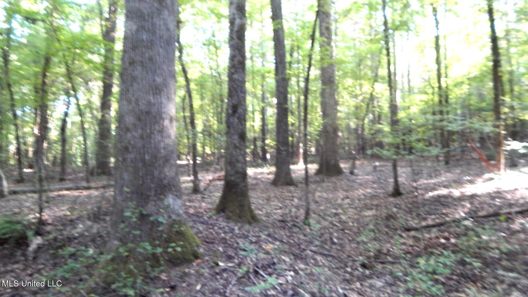 515 County Road 247, Unit COUNTRY Bruce, MS 38915 - Photo 11 of 56 DSCN5625