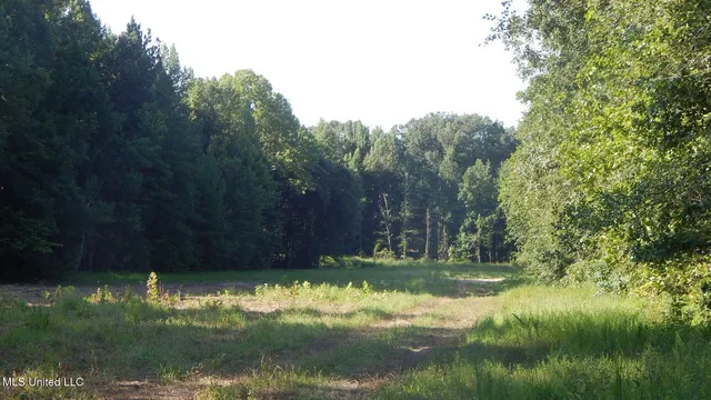 $249,900 | 515 County Road 247, Unit COUNTRY, Bruce, MS 38915