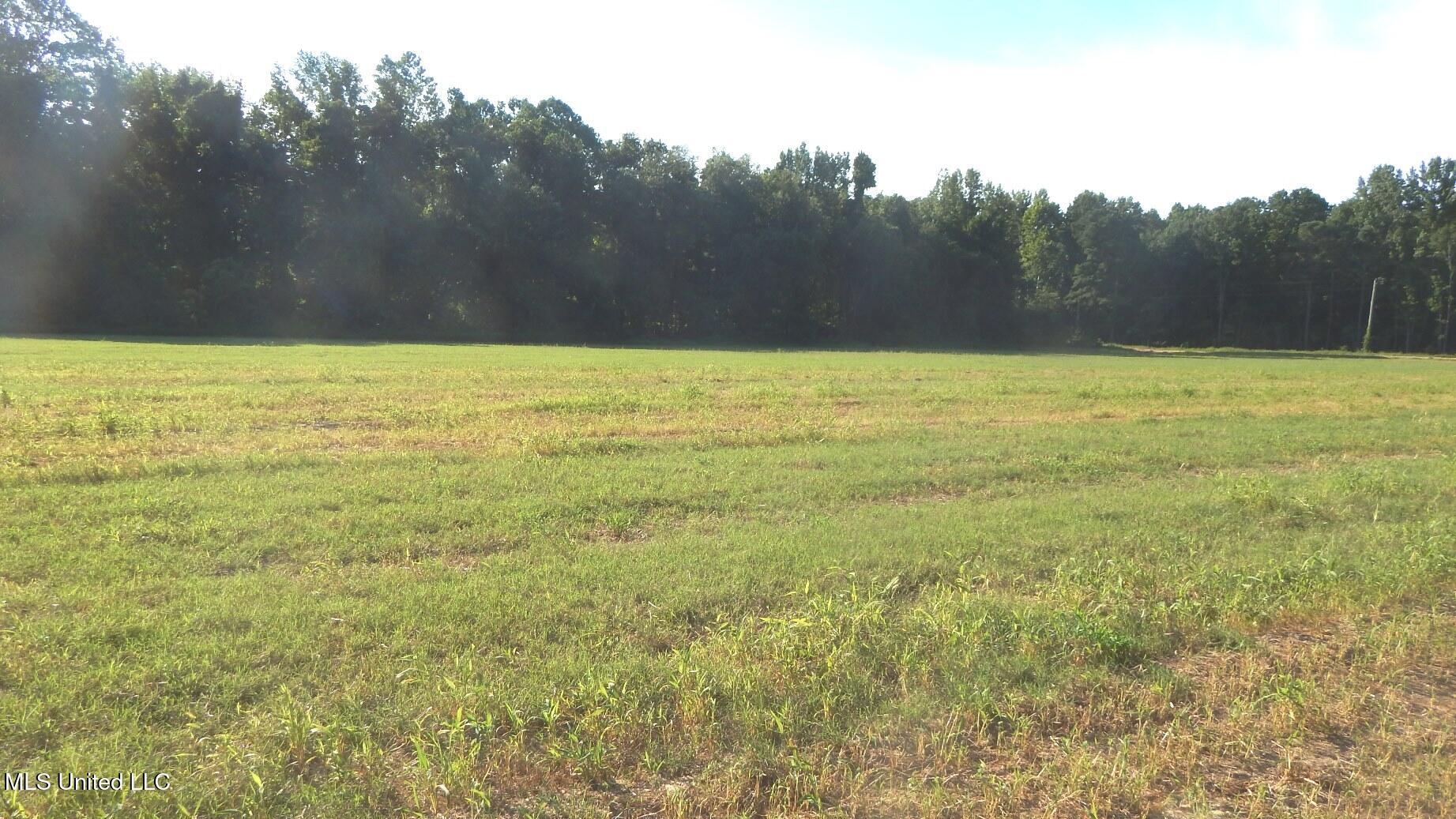 515 County Road 247, Unit COUNTRY Bruce, MS 38915 - Photo 14 of 56 DSCN5638