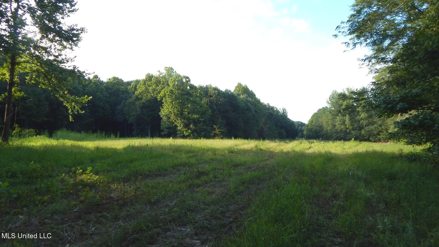 515 County Road 247, Unit COUNTRY Bruce, MS 38915 - Photo 18 of 56 DSCN5690