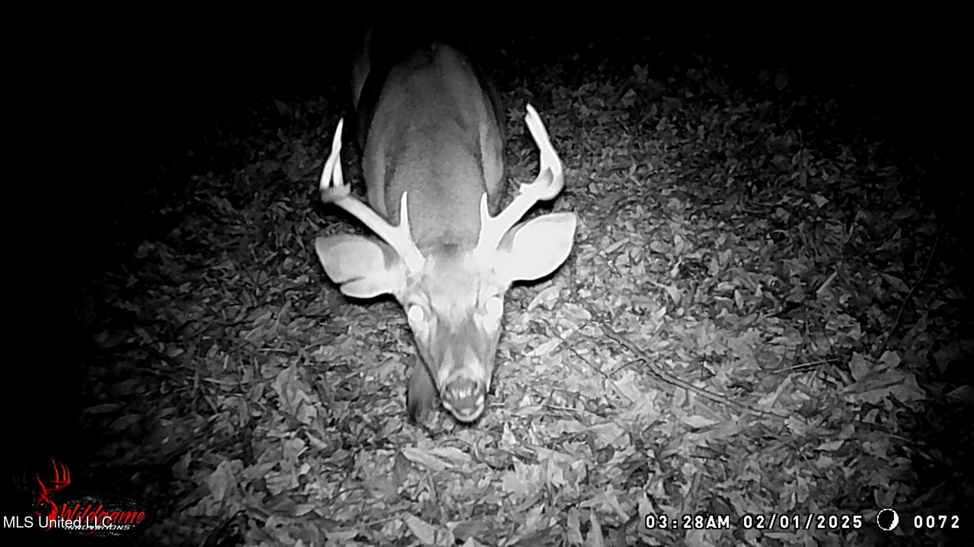 515 County Road 247, Unit COUNTRY Bruce, MS 38915 - Photo 26 of 56 WGI_0072