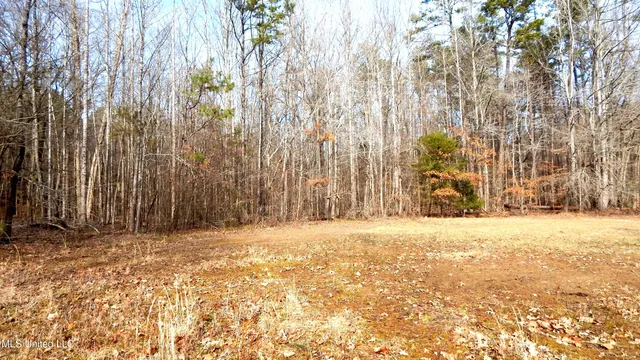 $249,900 | 515 County Road 247, Unit COUNTRY, Bruce, MS 38915