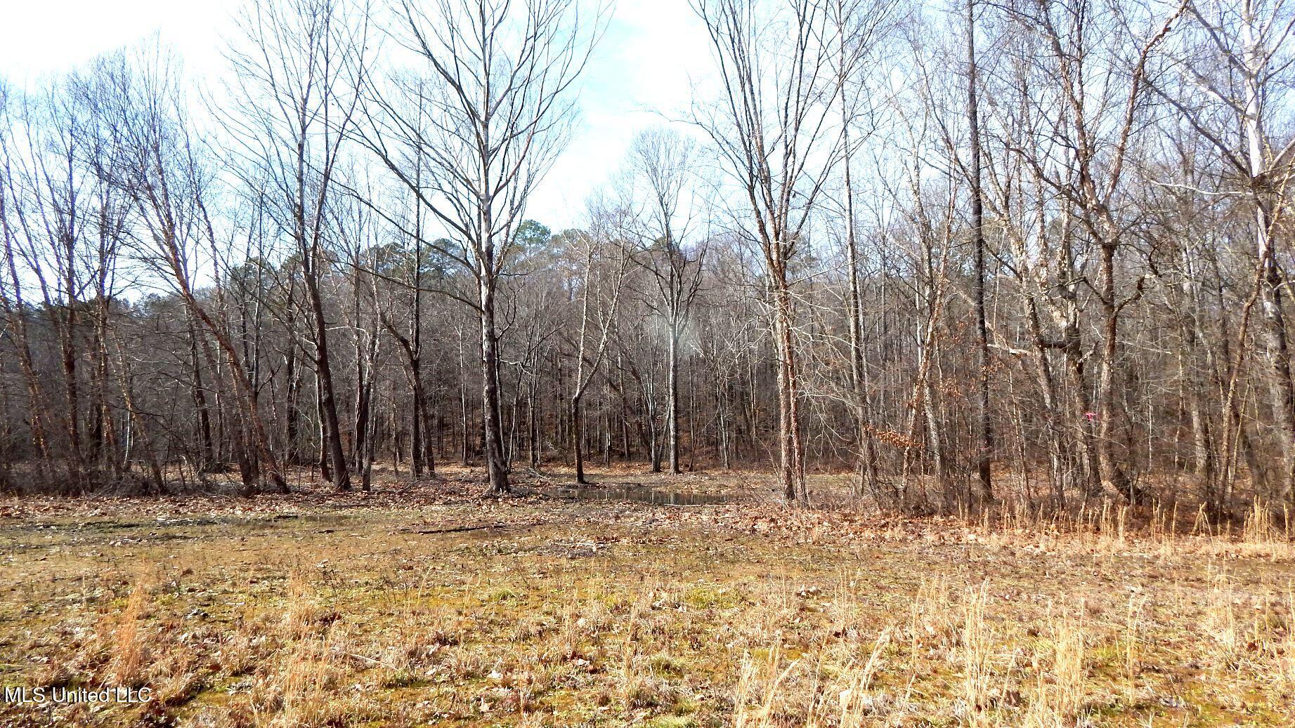 515 County Road 247, Unit COUNTRY Bruce, MS 38915 - Photo 35 of 56 DSCN6567