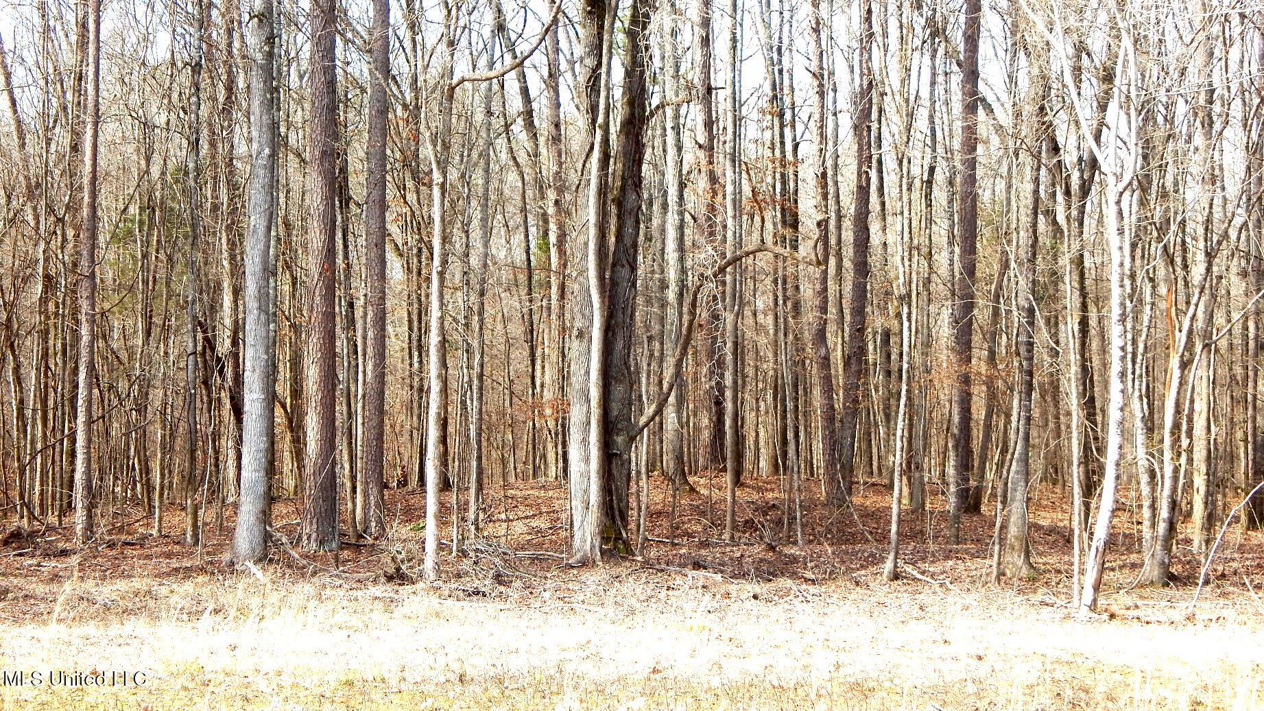 515 County Road 247, Unit COUNTRY Bruce, MS 38915 - Photo 36 of 56 DSCN6569