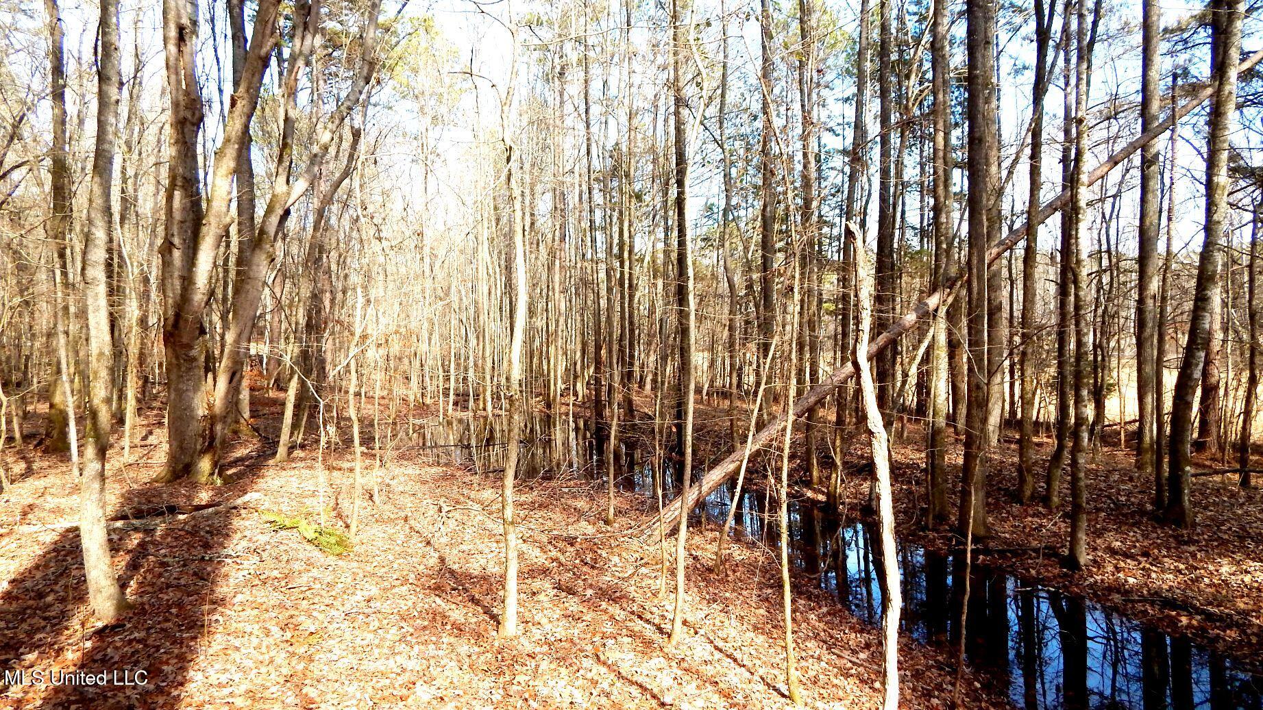 515 County Road 247, Unit COUNTRY Bruce, MS 38915 - Photo 40 of 56 DSCN6573