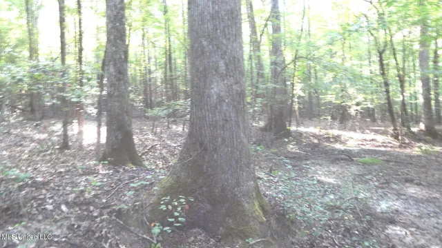 $249,900 | 515 County Road 247, Unit COUNTRY, Bruce, MS 38915