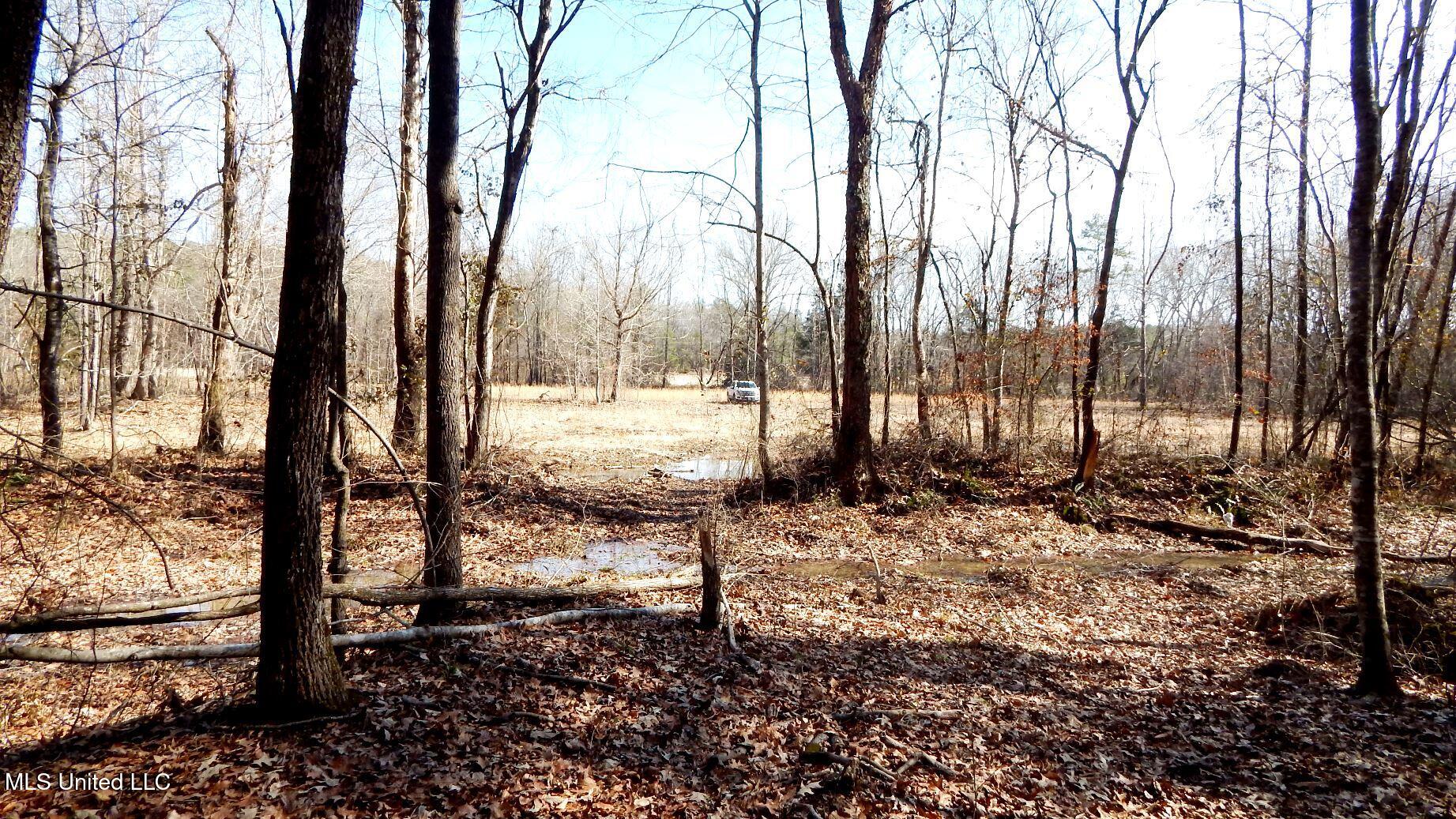 515 County Road 247, Unit COUNTRY Bruce, MS 38915 - Photo 44 of 56 DSCN6579