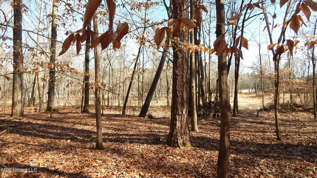 $249,900 | 515 County Road 247, Unit COUNTRY, Bruce, MS 38915
