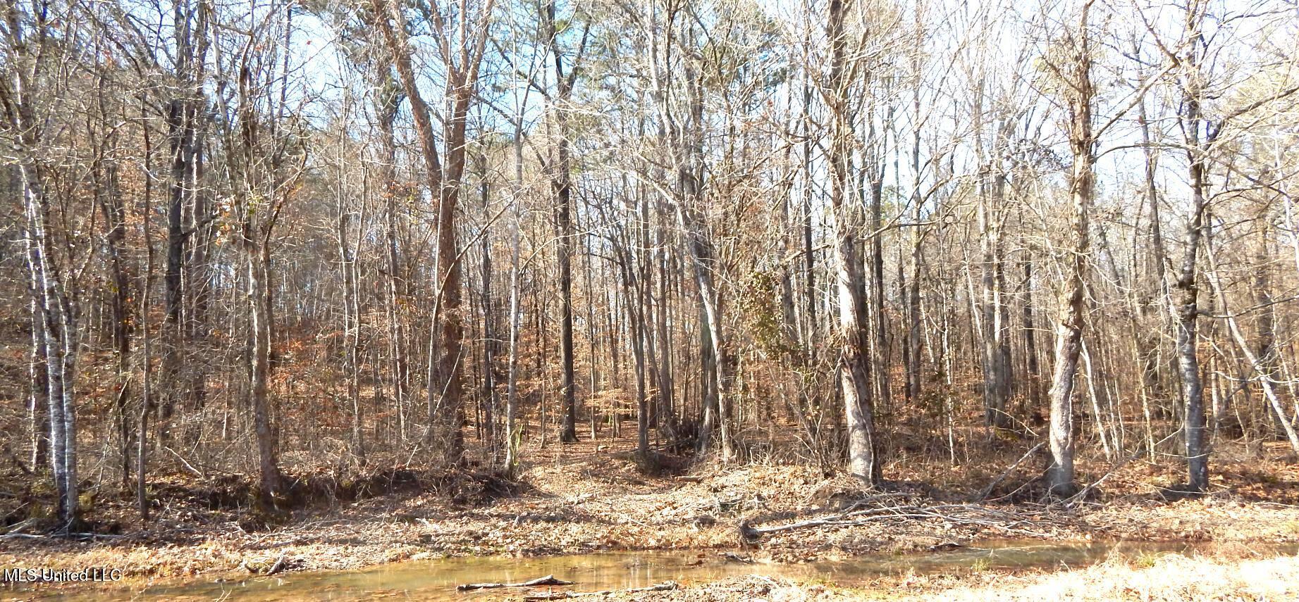 515 County Road 247, Unit COUNTRY Bruce, MS 38915 - Photo 50 of 56 DSCN6587