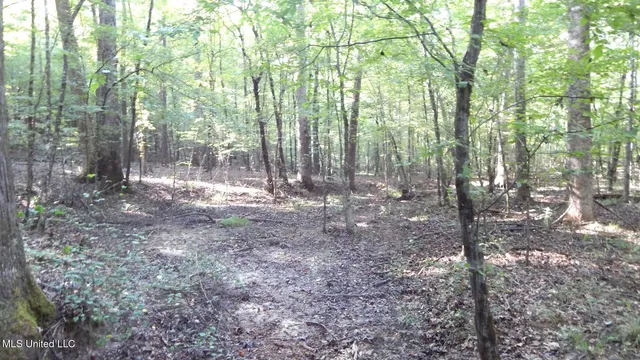 $249,900 | 515 County Road 247, Unit COUNTRY, Bruce, MS 38915