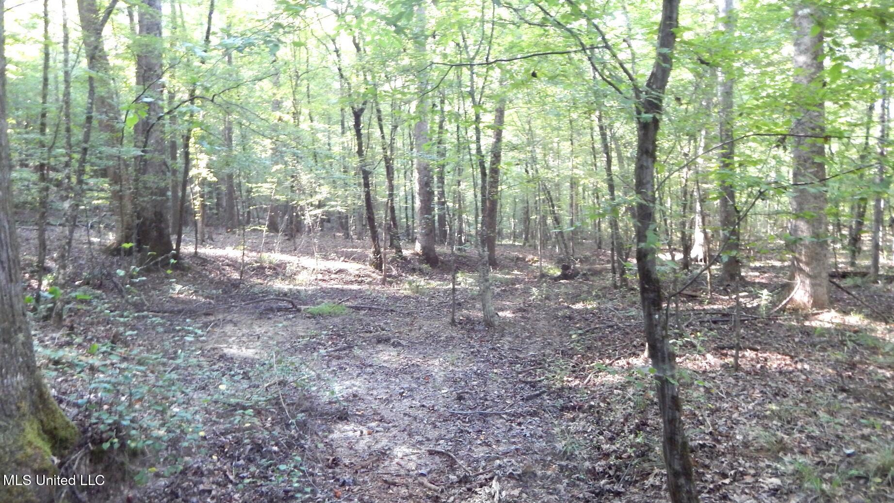 515 County Road 247, Unit COUNTRY Bruce, MS 38915 - Photo 5 of 56 DSCN5618