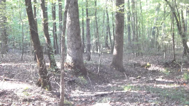 $249,900 | 515 County Road 247, Unit COUNTRY, Bruce, MS 38915