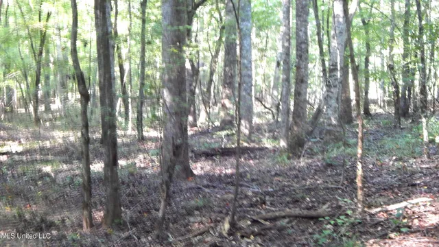 $249,900 | 515 County Road 247, Unit COUNTRY, Bruce, MS 38915