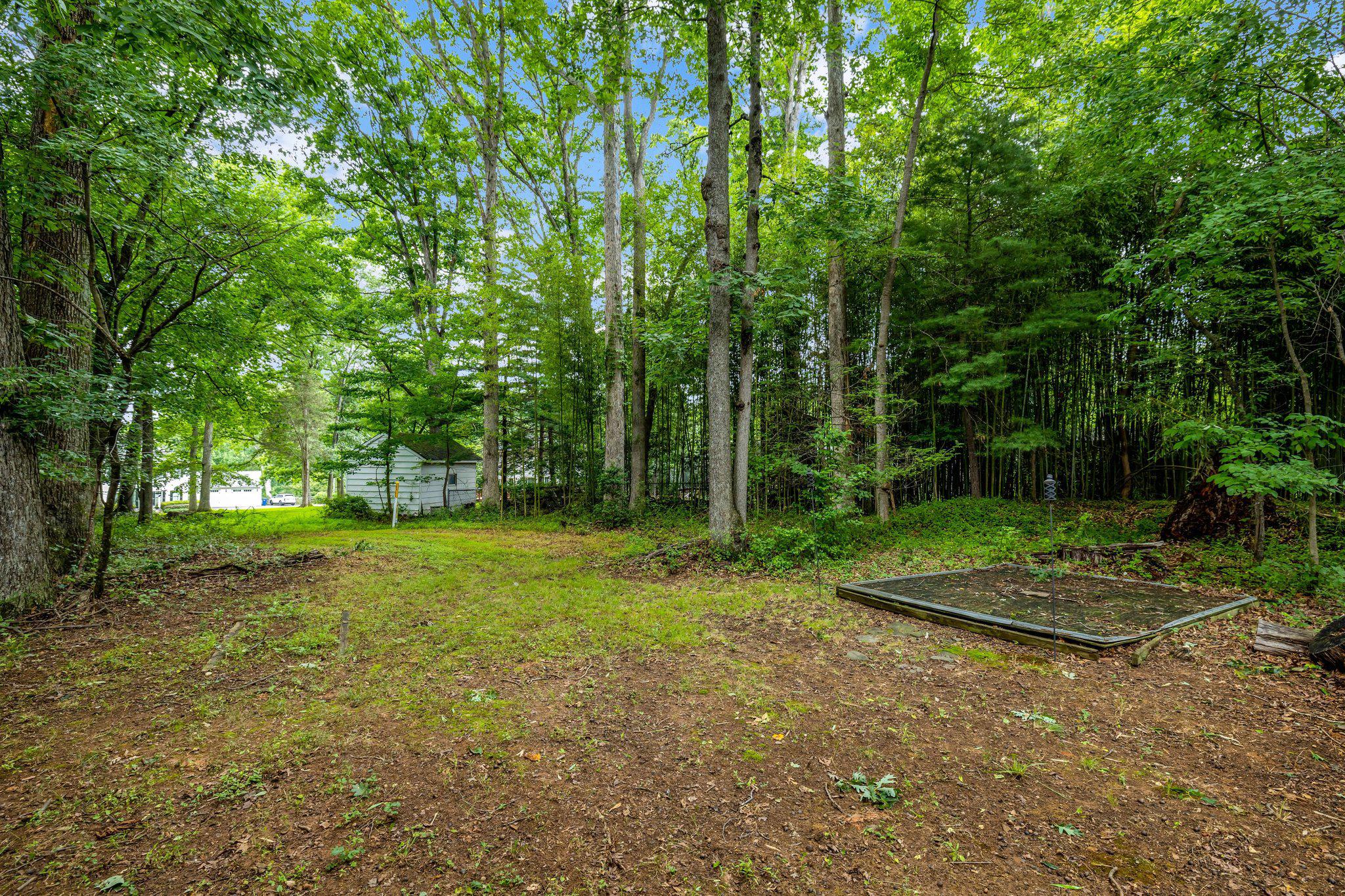 1132 Springvale Road Great Falls, VA 22066 - Photo 71 of 81 Serene 2 acres awaits you.