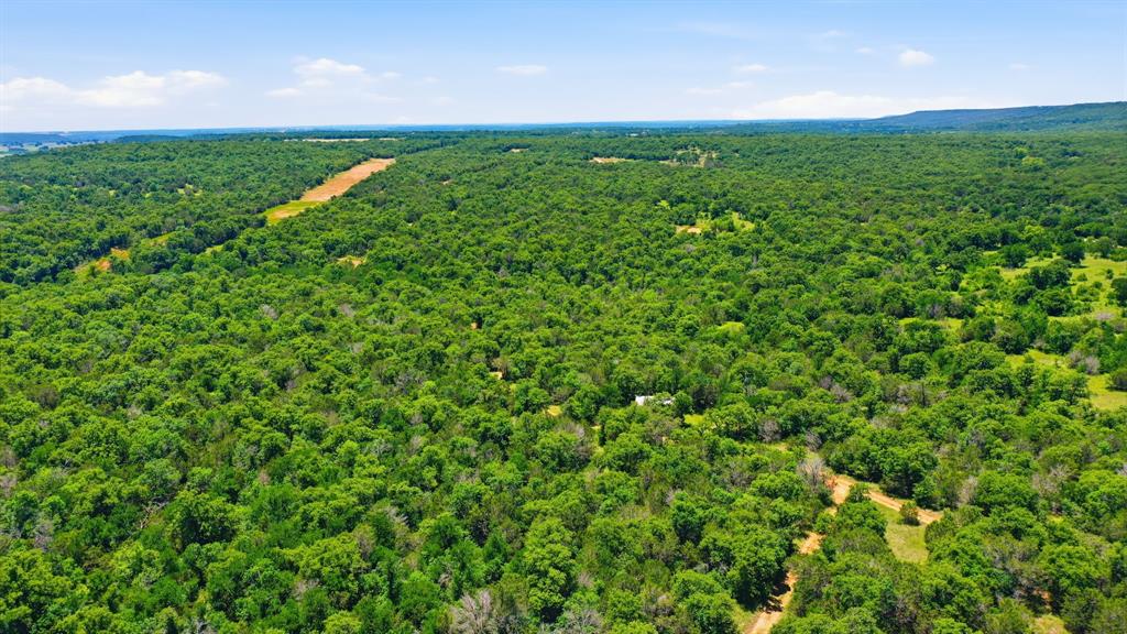 4320 Dobbs Valley Road Millsap, TX 76066 - Photo 31 of 40 a view of a big yard with plants and large trees