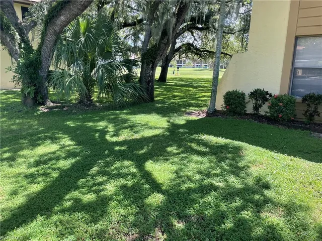 a view of a yard with plants and a large tree