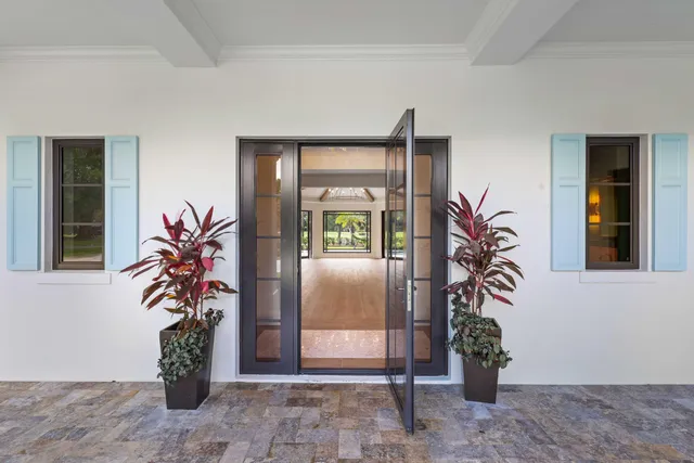 a potted plant in front of a house