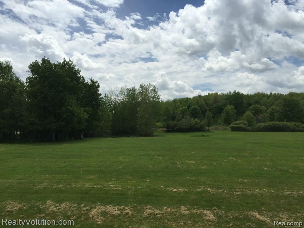 15329 Turner Road Yale, MI 48097 - Photo 12 of 16
