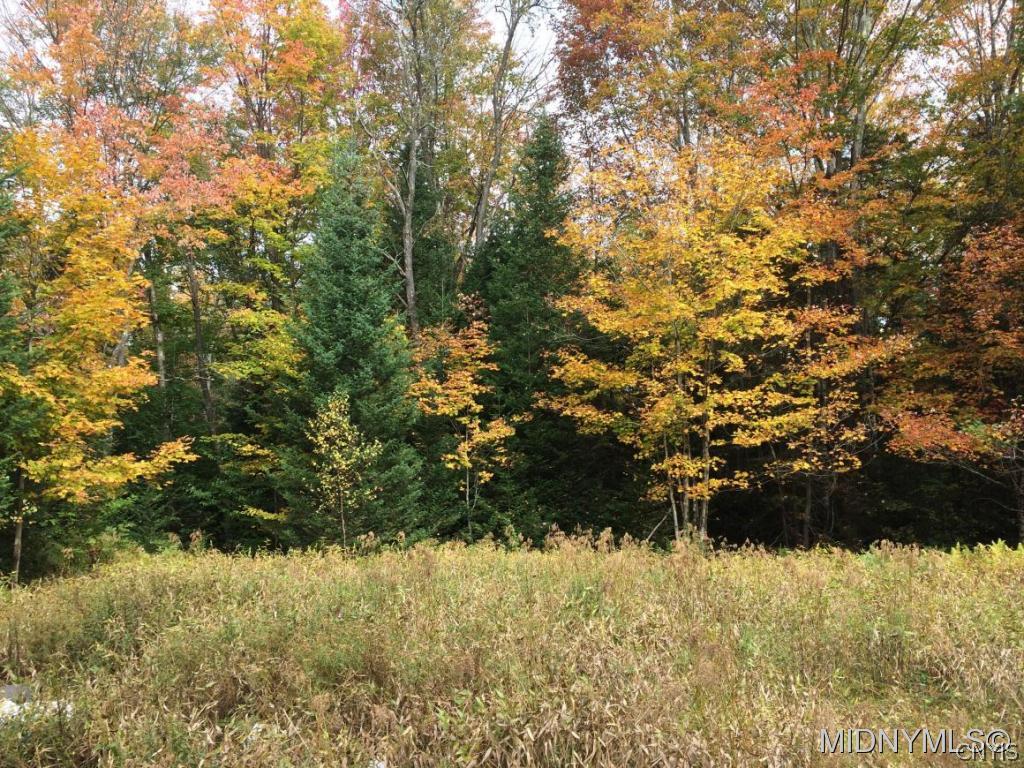154 Spall Road South Russia, NY 13438 - Photo 1 of 1 Gallery Image 1