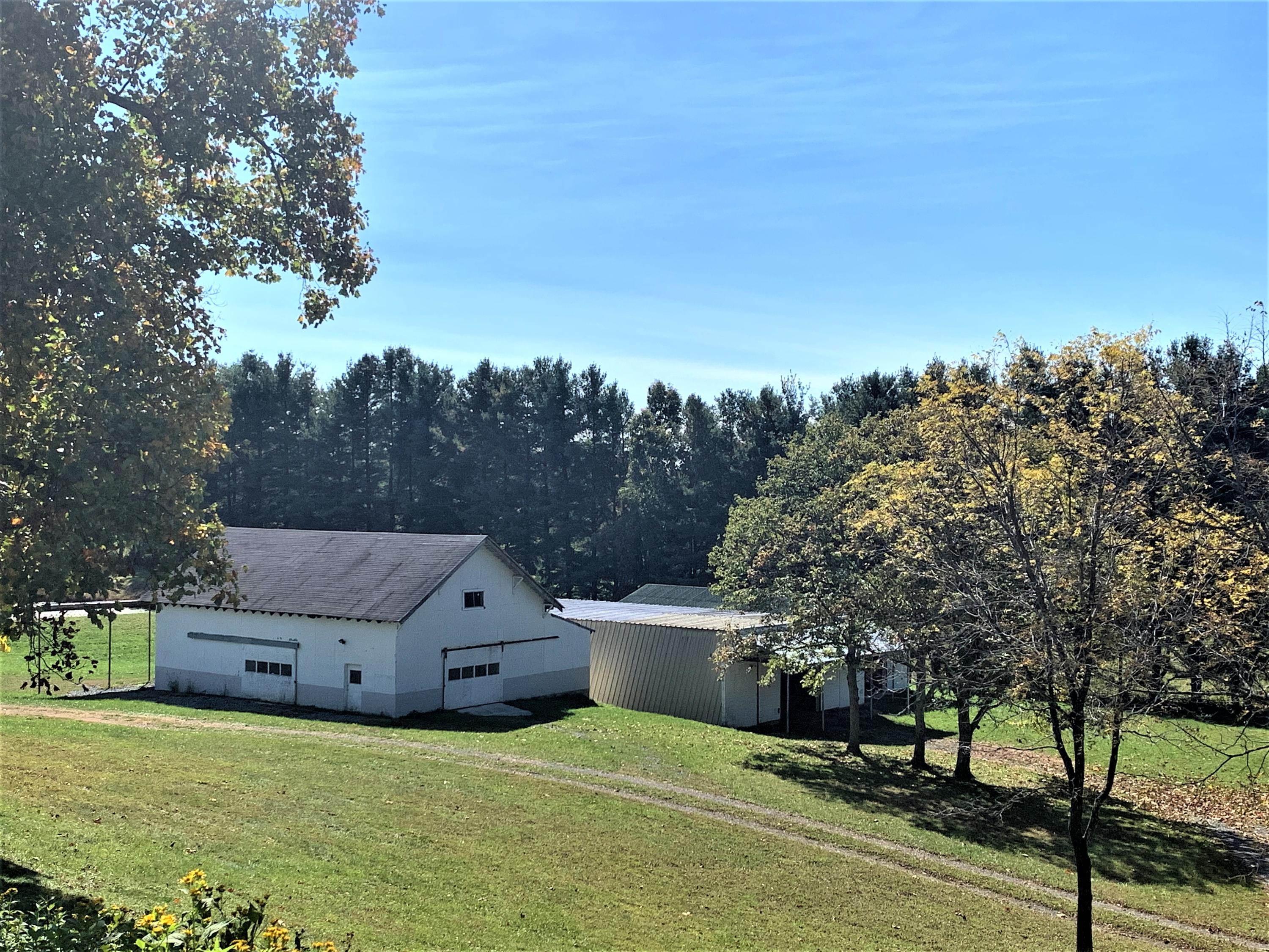 462 Thomas Loop Meadow Bridge, WV 25976 - Photo 10 of 53 Gallery Image 10