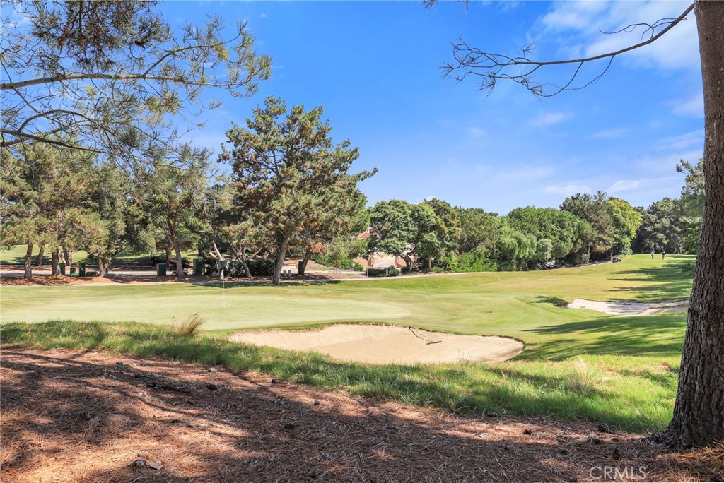 1175 Corte Riviera Camarillo, CA 93010 - Photo 22 of 23 a view of a yard with an ocean beach