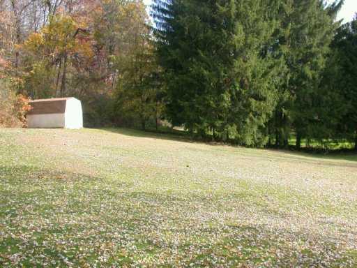 585 Golf Course Road Aliquippa, PA 15001 - Photo 7 of 8 Yard/Garden.