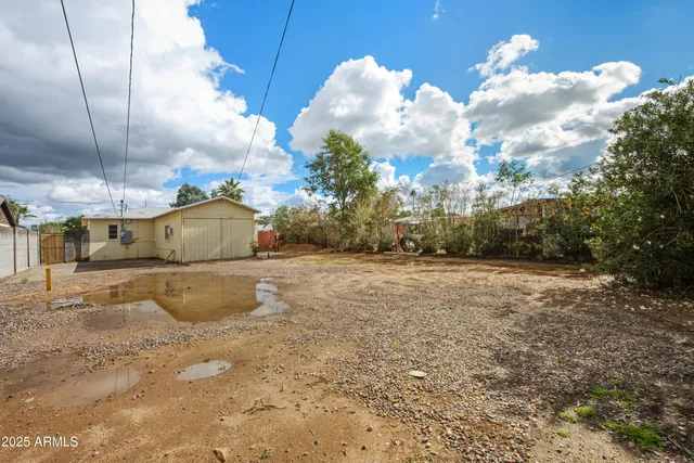 a backyard of a house with a large tree