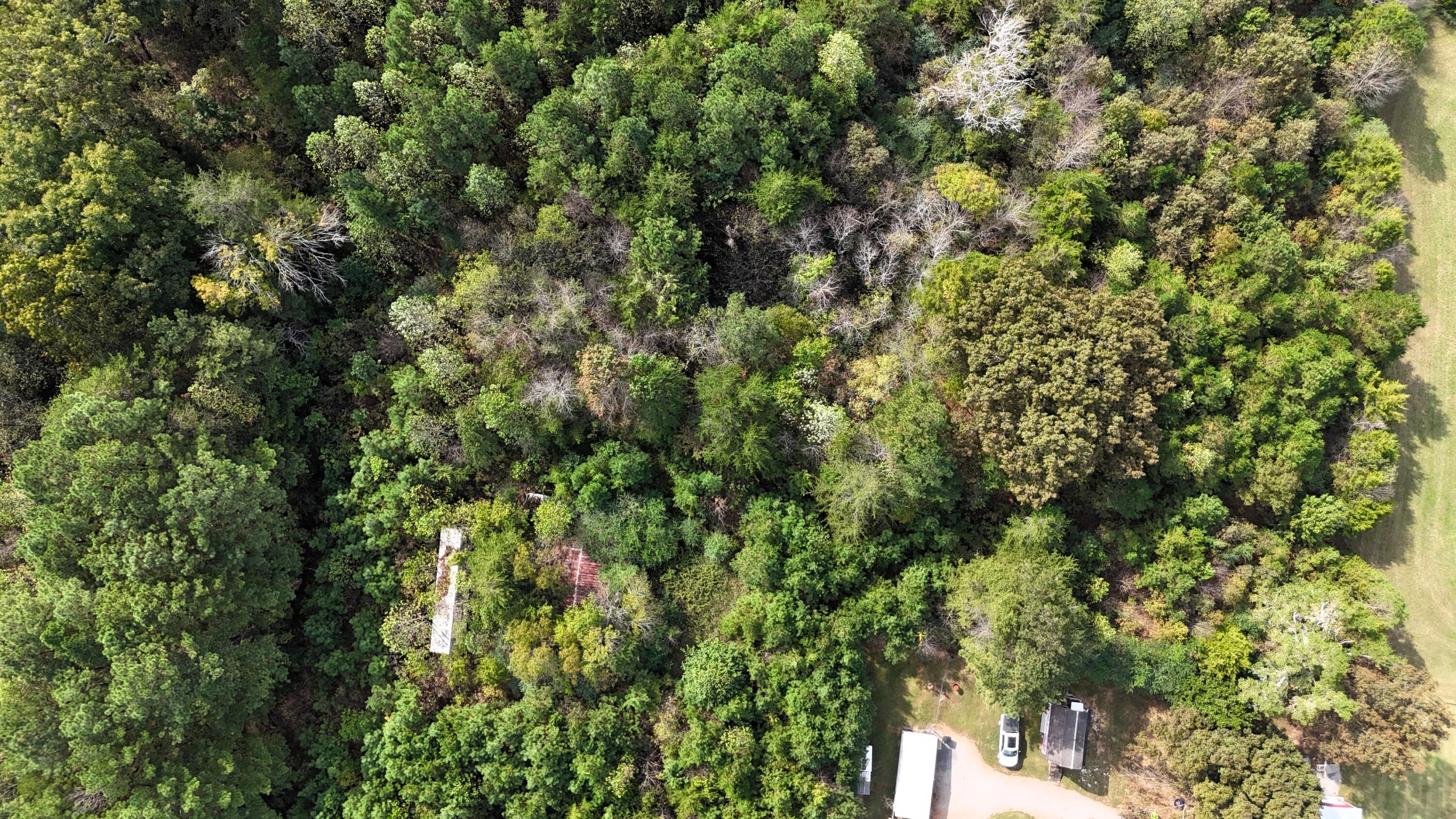 0 Hickory Top Road Southeast Cleveland, TN 37311 - Photo 15 of 23 DJI_20251008121751_0050_D