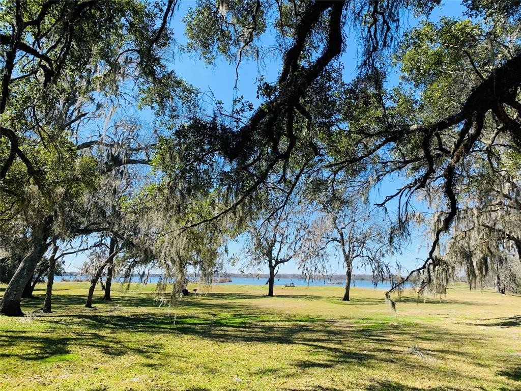 274 Pony Trail Angleton, TX 77515 - Photo 15 of 18